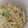 あげはっちゃん's cooksnap of when they made 簡単☆鍋一つ♬しらすと大葉の釜玉うどん♬.