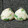 cana226's cooksnap of when they made 鮭と水菜のシャキ☆マヨおにぎり.