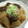 七色ワクチン's cooksnap of when they made 大根とツナのことこと煮.