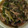 もりのりころ's cooksnap of when they made ぶりのオイスターソース炒め.