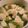 ぷくくっく's cooksnap of when they made [簡単一品]甘酸っぱいかぶの漬け物.