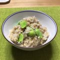 くろねこだいすき39's cooksnap of when they made そら豆としらすの梅ごはん.