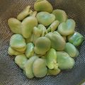 さぁ★たぁ★'s cooksnap of when they made プロに教わる、そら豆の切り方、茹で方.