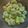 さぁ★たぁ★'s cooksnap of when they made プロに教わる、そら豆の切り方、茹で方.