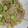 クックQNOM99☆'s cooksnap of when they made もやしときゅうりの中華風？サラダ.