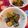 pitachan1's cooksnap of when they made 蒟蒻と鶏胸肉のピリ辛炒め.