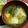 M130018's cooksnap of when they made Ｍ味噌汁（蕪と厚揚げ）.