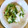 ボブナナ's cooksnap of when they made 簡単！白菜・かぶ・ワカメの浅漬け.