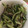 ma___111's cooksnap of when they made しいたけときゅうりの合いまぜ.