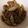 クックRTTMX2☆'s cooksnap of when they made 牛肉とごぼうのしぐれ煮.