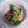 おまめちゃん♥️'s cooksnap of when they made はじめてでも簡単！基本のオクラの下処理.