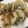 クックHEDQSC☆'s cooksnap of when they made 余った大根でヘルシー餃子☾.
