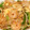 ぷのぷの's cooksnap of when they made パッタイ　タイの焼きそば.