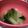☆なつぽん☆☆'s cooksnap of when they made 大根と小松菜の味噌汁.