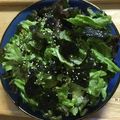 らんち☆'s cooksnap of when they made 簡単☆早い☆旨い☆チョレギサラダ.