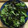 らんち☆'s cooksnap of when they made 簡単☆早い☆旨い☆チョレギサラダ.