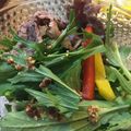 At09's cooksnap of when they made ［逆転の発想］サラダに牛肉を添えてみた.