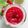クックQXITD2☆'s cooksnap of when they made ユスラウメ(桜桃)のコンフィチュール.