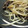 HoneyManta's cooksnap of when they made もやし＆牛肉＆油揚げ炒め♪.