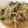 ayarui's cooksnap of when they made 旬の新玉ねぎと豚肉のピリ辛生姜甘みそ炒め.