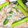 yoshiaji's cooksnap of when they made カニとアスパラのとろとろ煮.