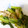 かすてら１２'s cooksnap of when they made 簡単！舞茸と青菜のこんぶ茶炒め.