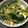 ajinawanco's cooksnap of when they made 簡単！ほうれん草と玉ねぎのコンソメ卵炒め.