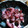 Perseus's cooksnap of when they made 蓮根梅和え.