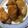 クックKXKWV4☆'s cooksnap of when they made 鶏モモ肉の柚子胡椒パリパリ焼き～No.③.