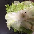 ciomam's cooksnap of when they made 簡単！葉物野菜はつまようじで保存♡.