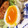 かおりった's cooksnap of when they made 半熟ゆで卵.