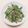 migmigmig's cooksnap of when they made 柚子胡椒香る水菜ともやしの塩昆布ツナ和え.