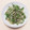 migmigmig's cooksnap of when they made 柚子胡椒香る水菜ともやしの塩昆布ツナ和え.