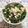 ゆきプー♡'s cooksnap of when they made 湘南名物★釜揚げしらす丼★.