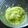 みさ★あや's cooksnap of when they made ★離乳食★【初期】白菜のダシ煮♫♬.