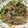 chihuahuan's cooksnap of when they made ◎豆苗とまいたけのオイスターソース炒め◎.