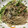 chihuahuan's cooksnap of when they made ◎豆苗とまいたけのオイスターソース炒め◎.