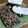 ユノ★メティス's cooksnap of when they made はんぺんのゴマ焼き.