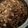 sakurenmam's cooksnap of when they made ✿椎茸入り牛しぐれ煮の混ぜご飯✿.