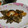 雲雀ころね's cooksnap of when they made ちゃんちゃん焼き風 鮭のムニエル.