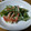 kinkinsan's cooksnap of when they made 我が家の無限ピーマン！マヨで子供受け◎.