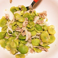 kotaro0329's cooksnap of when they made 簡単！そら豆と豚コマ切れの塩こしょう味.