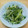 ⭐★ゆき★⭐'s cooksnap of when they made もやしとえのきのさっぱり和え.