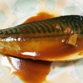 天使翼's cooksnap of when they made 塩さばでさばの味噌煮.