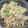 ふにふにくらげ's cooksnap of when they made わが家の簡単ポテトサラダ♡.