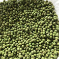 たいがちん's cooksnap of when they made 山椒の実のアク抜きから調理・保存法.