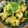 低カロ探検隊's cooksnap of when they made お麩の卵とじ煮.
