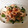じゅたはは's cooksnap of when they made イカとピーマンの一味マヨ炒め.