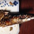 アラフィフ新米主婦♪'s cooksnap of when they made 簡単にこんがりふっくら♪秋刀魚の塩焼き.