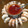 減塩パパ's cooksnap of when they made エビのカクテルソース添え.